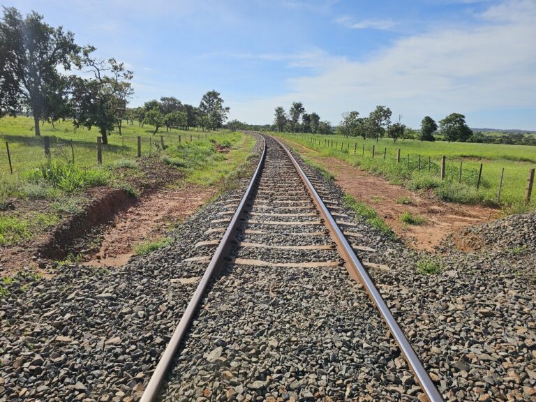 ANTT aprova proposta da Arauco em construir ramal ferroviário para escoar celulose pela Malha Norte