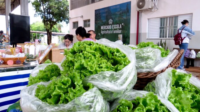 O Mercado Escola da UFMS é programa de extensão da Universidade que integra ensino, pesquisa, extensão, inovação e empreendedorismo - Foto: Divulgação (UFMS)