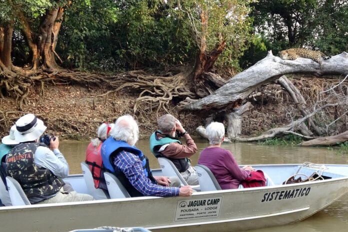 Turistas observando onça no barco no Pantanal